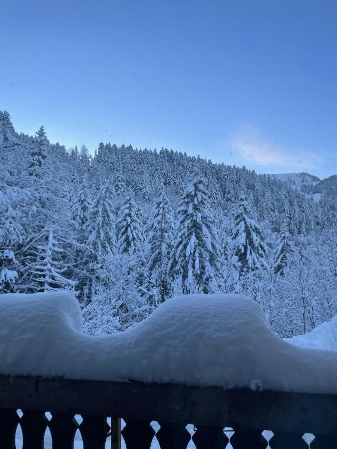 Duplex Dent D'Oche Leilighet Bernex Eksteriør bilde