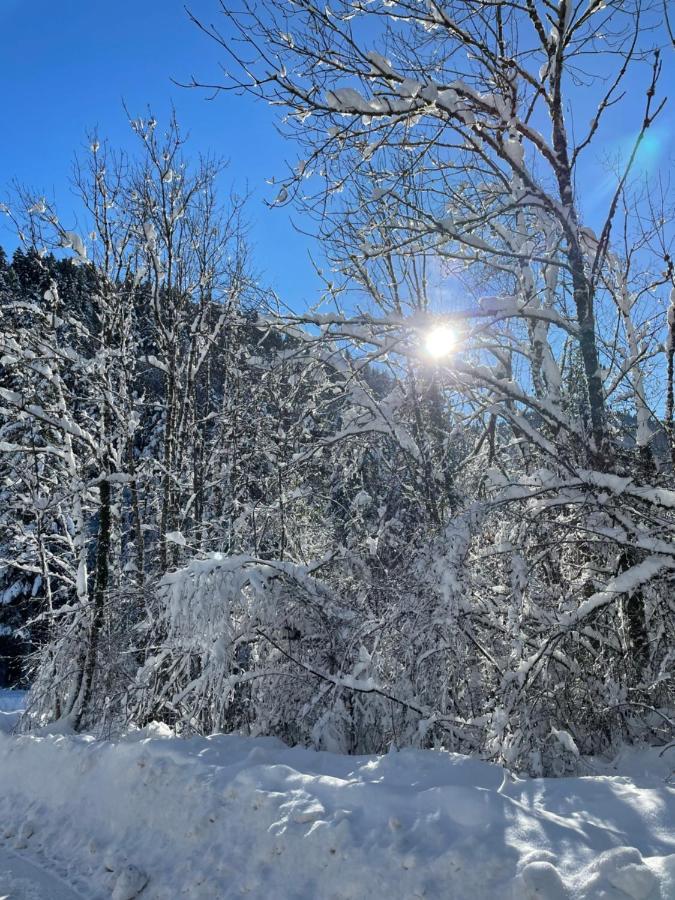 Duplex Dent D'Oche Leilighet Bernex Eksteriør bilde